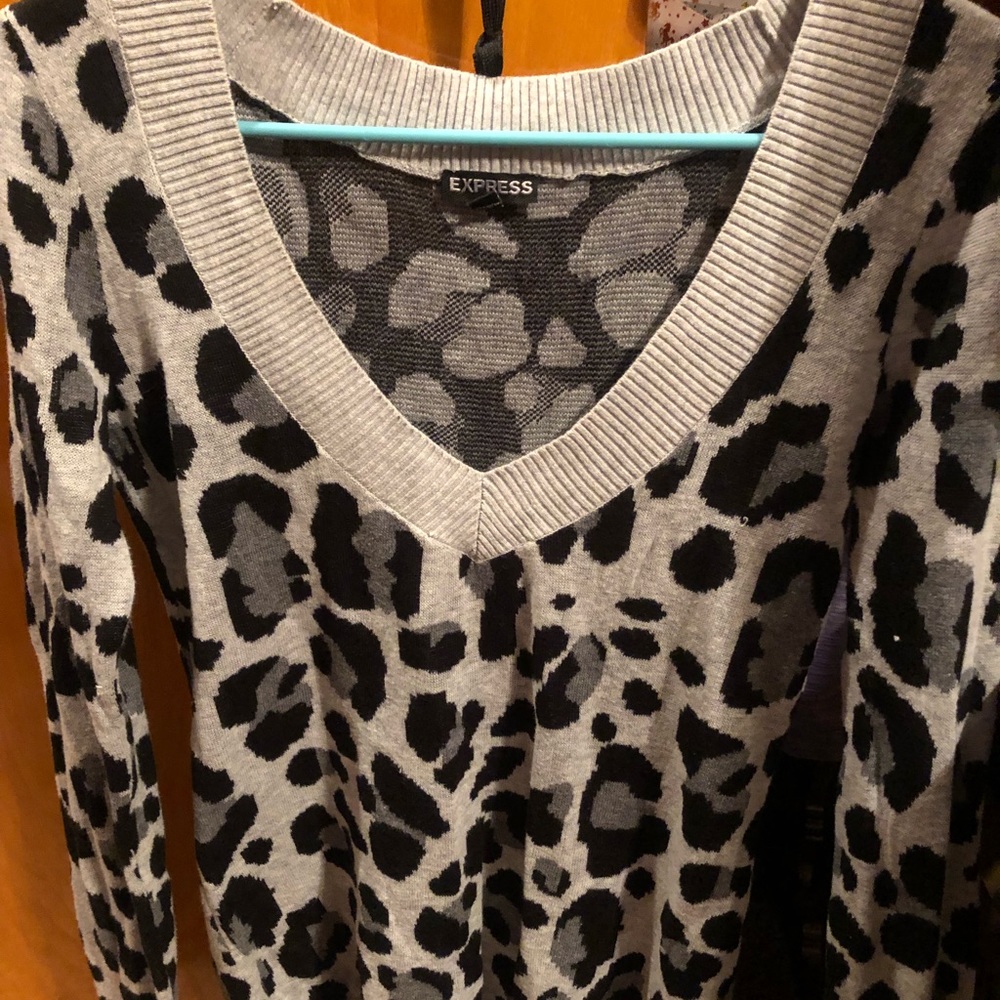 Express sweater
